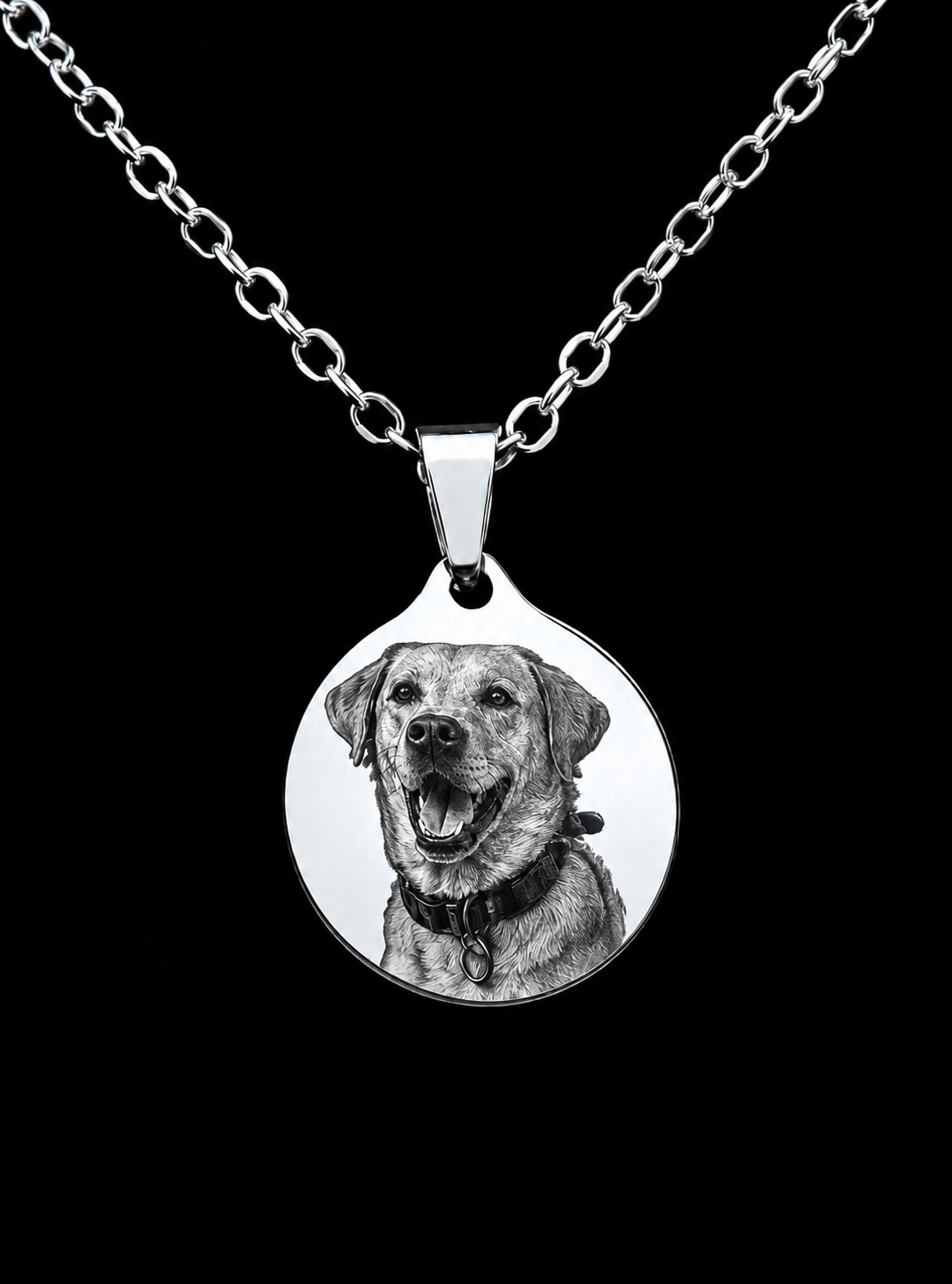 "Mi mejor amigo" Collar personalizado de mascota + box de regalo