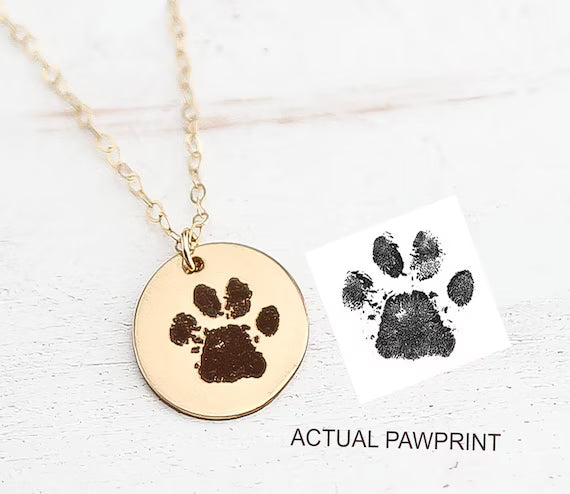 "Mi mejor amigo" Collar personalizado de mascota + box de regalo